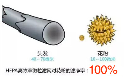 ������Ⱦ��